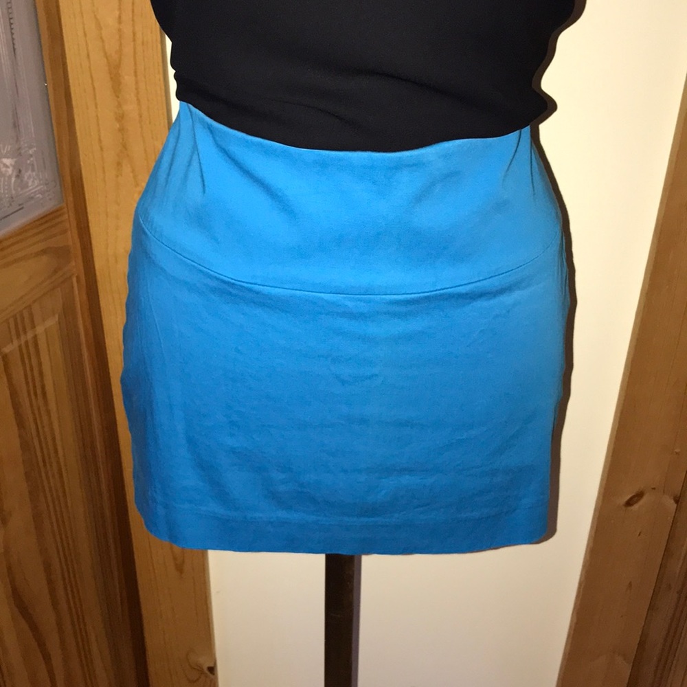 Express Mini Skirt - Picture 2 of 2